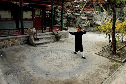 wudang bagua